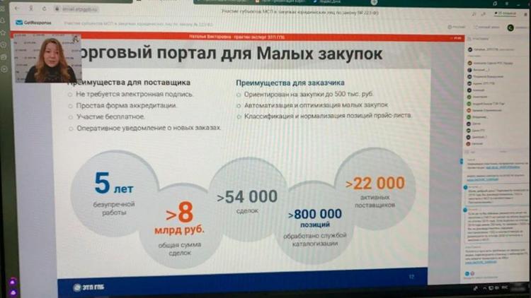На Ставрополье для предпринимателей провели онлайн-семинар