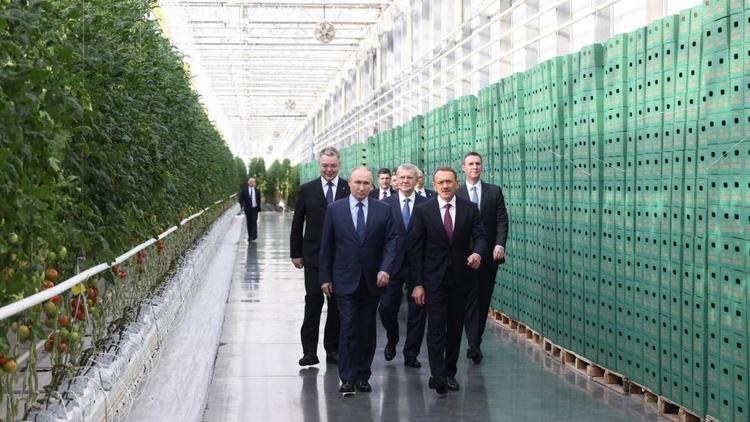 Эксперт: Президент РФ уделяет особое внимание Ставрополью в части продовольственной безопасности