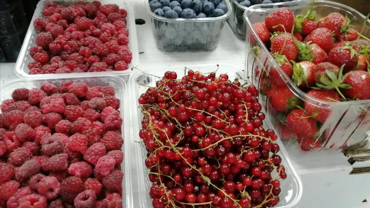 Свежесобранный урожай фруктов и ягод привезут на ярмарки в Ставрополе
