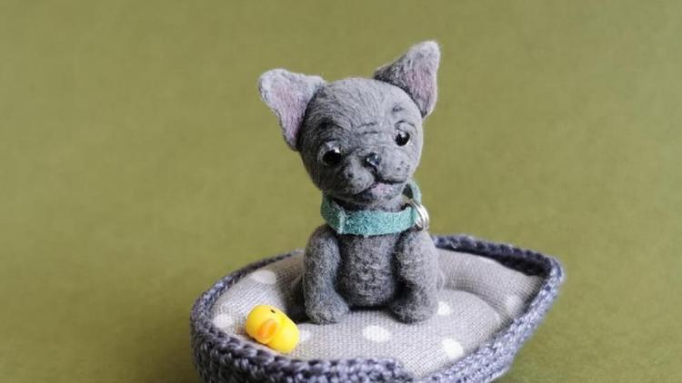 Ставропольская мастерица создаёт миниатюрных собак и мишек