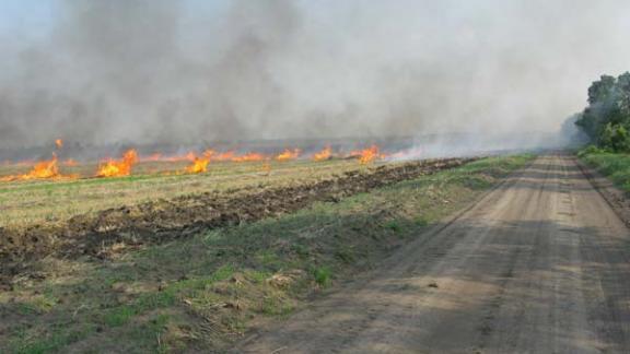 На Ставрополье землевладельцев накажут за выжигание стерни на полях