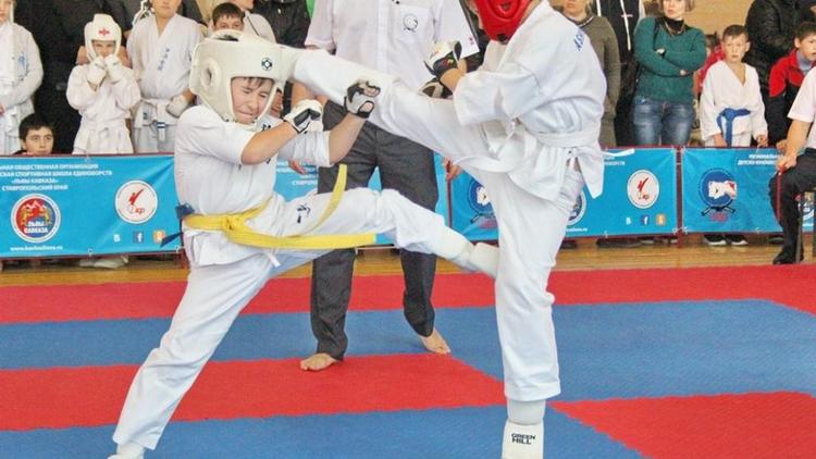 Около 200 юных спортсменов в Минводах станут участниками открытого первенства по каратэ