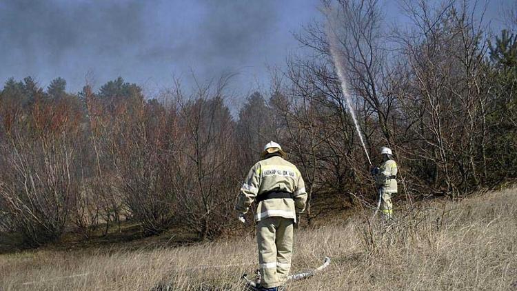 На Ставрополье закупят 10 единиц техники для тушения лесных пожаров