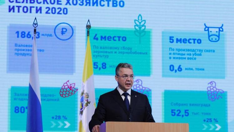 Эксперт: Губернатор Ставрополья поднял важные вопросы экологии