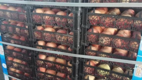 На Ставрополье уничтожили более 700 килограммов санкционных персиков