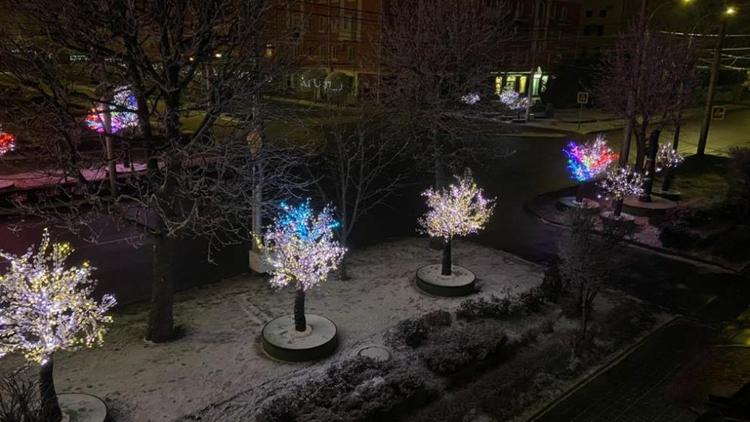 Светодиодные деревья в центре Ставрополя разбирать не станут