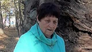 80-летнюю пенсионерку с фиолетовыми волосами ищут в Невинномысске