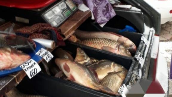 В Ессентуках оштрафовали рыбаков-бизнесменов