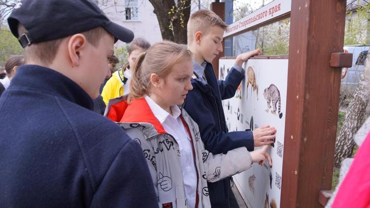 Юных жителей Ставрополя библиотека пригласила на «Тропу здоровья»  