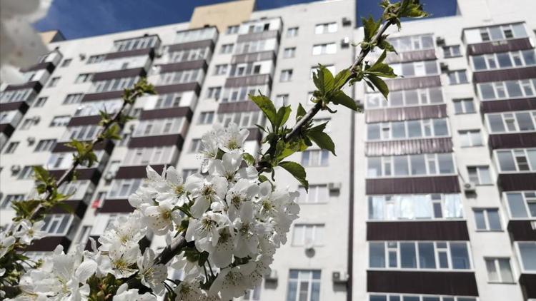 В многоквартирных домах Ставрополья стартовали весенние осмотры жилищного фонда