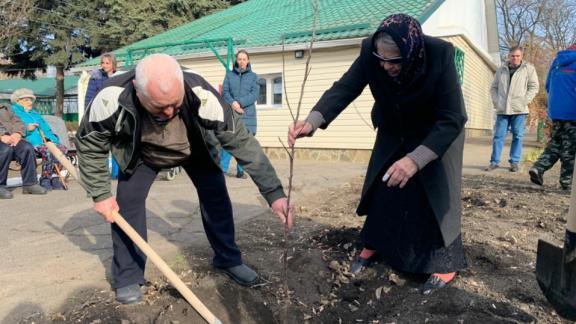 Фруктовый мини-сад высадили в Предгорном округе Ставрополья