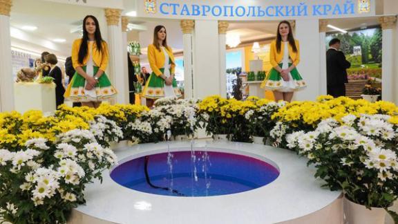 В Москве в рамках Дней Ставрополья открылась выставка предприятий края