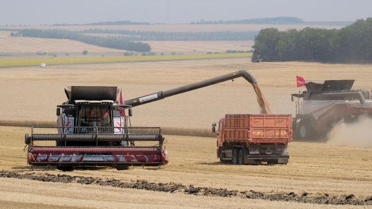 8,35 млн тонн зерна собрали ставропольские аграрии