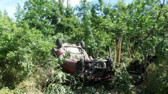Женщина-водитель погибла при столкновении с деревом в Курском районе