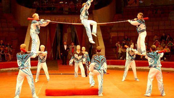 Поездку в цирк организовал для детей из районов Ставрополья фонд «Содействие»