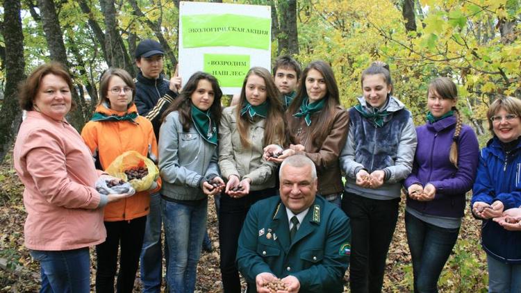 Начальник Ставропольского лесничества: С принятием поправок в Конституцию система защиты природы станет эффективнее
