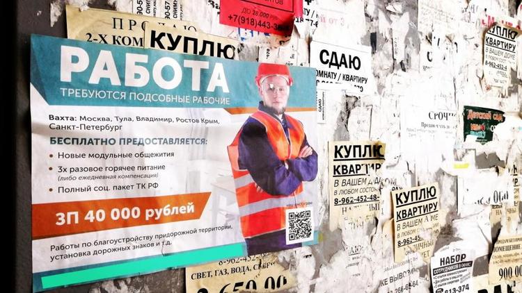 Минтруда Ставрополья реализует проект «Содействие занятости» национального проекта «Демография»