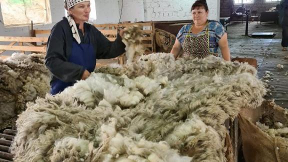 Ставропольский край вновь стал лидером в производстве шерсти