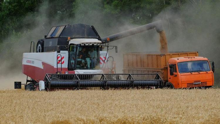 Более 13 тысяч гектаров зерновых убрали в Андроповском округе Ставрополья