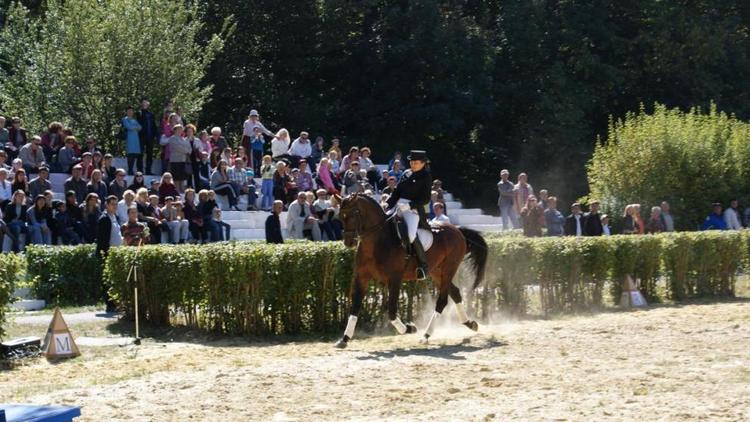 В Ставрополе подвели итоги открытого первенства города по конному спорту