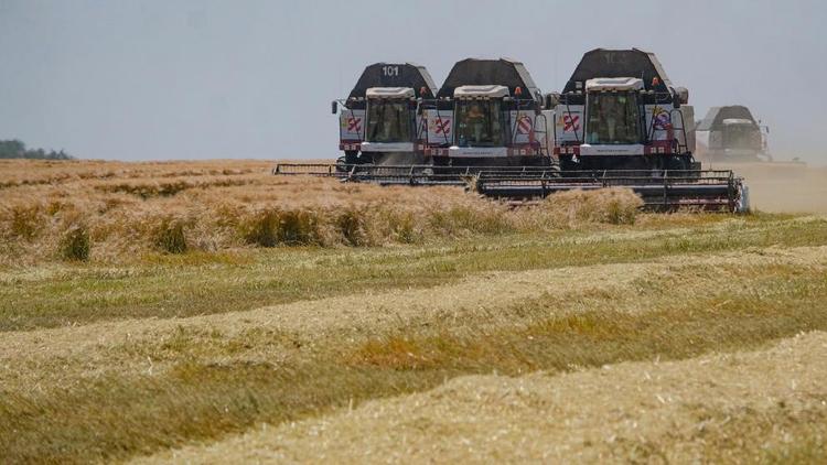 На Ставрополье подвели итоги уборки зерновых и зернобобовых культур