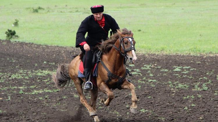Ставропольские казаки показали свою удаль на фестивале воинской культуры «Георгиевская казарла»