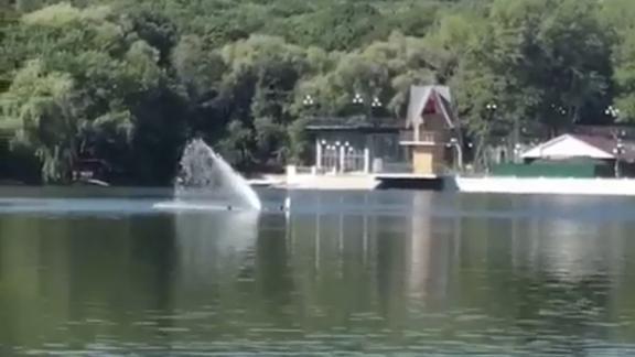 В Железноводске на Курортном озере пытались сломать фонтан