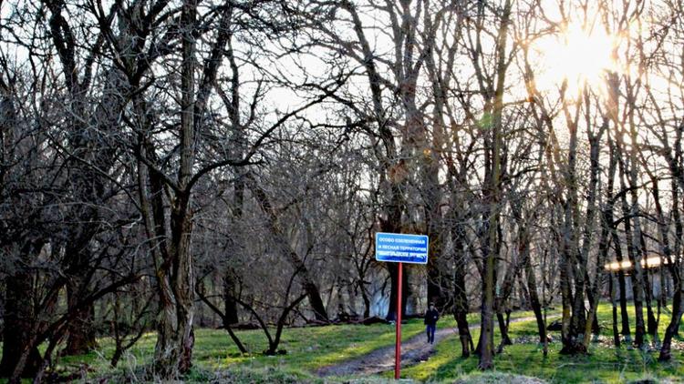 «Эммануэльевское урочище» в Ставрополе получило статус особо охраняемой территории