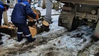 В Ставрополе коммунальщики делают уборку на территории кладбищ
