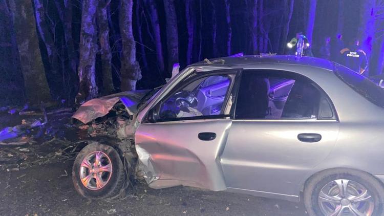 Начинающий водитель врезался в дерево на въезде в Ставрополь