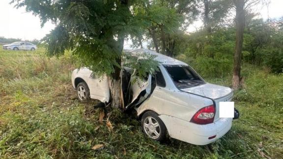 Начинающий водитель врезался в дерево в Грачёвском округе Ставрополья