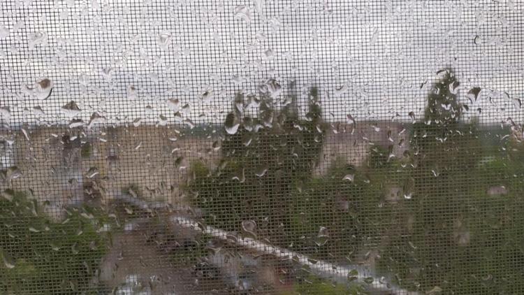 Начало недели на Ставрополье выдастся дождливым