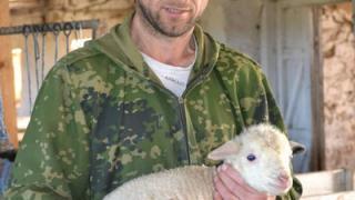 В Апанасенковском районе Ставрополья началось ягнение овец