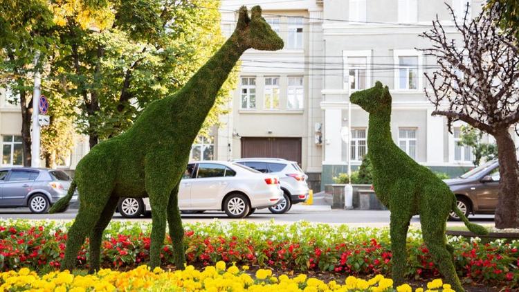 Осенью в Ставрополе установят новых жирафов на улице Дзержинского