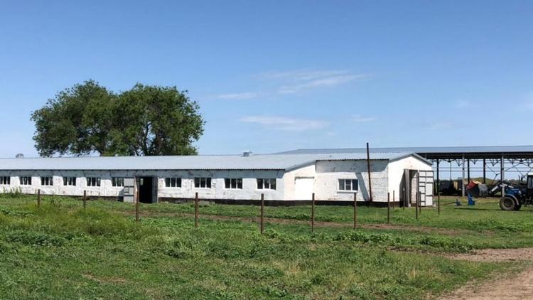 На Ставрополье фермер собирается создать спортивную школу для юных казаков