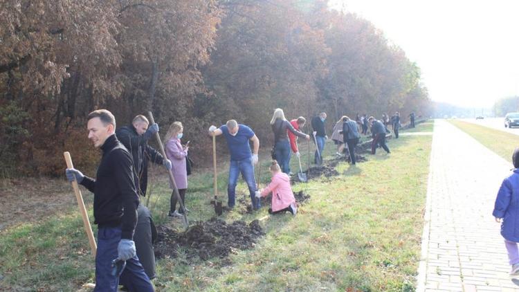 В Ставрополе на улице Космонавтов активисты высадили 150 деревьев