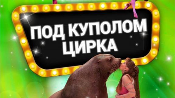 Ставропольский цирк представит новую программу 13 марта