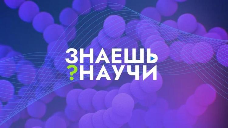 Школьников Ставрополья приглашают на конкурс научно-популярного видео