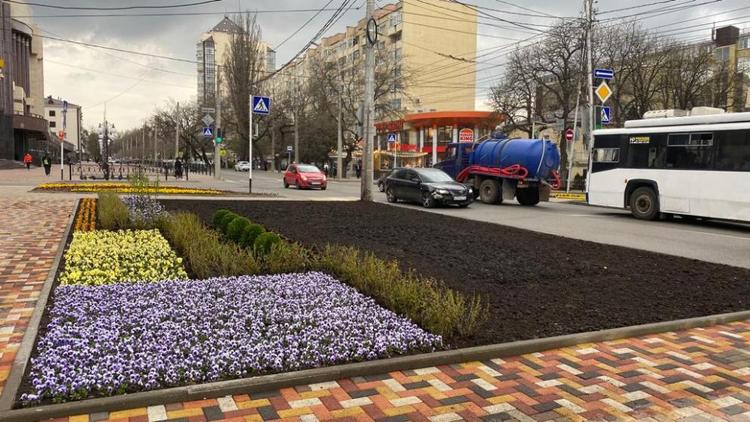 В Ставрополе появилась новая фактурная клумба 