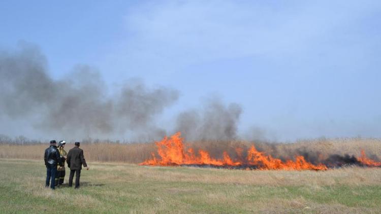 В Ставрополе специалисты выжигают сухую траву, чтобы предотвратить пожары