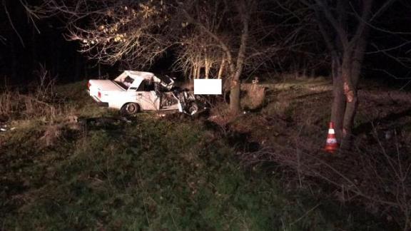 Непристегнутый автолюбитель врезался в дерево и погиб в Буденновском районе