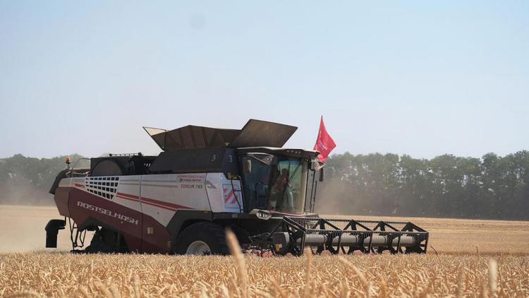 Аграрии Ставрополья собрали 8 миллионов тонн зерна