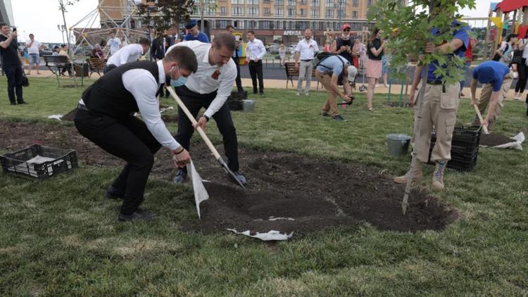 В сквере 75-летия Победы в Ставрополе высадили новые деревья