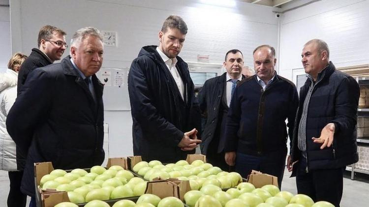 Яблочный бум ожидается на Ставрополье в ближайшие годы