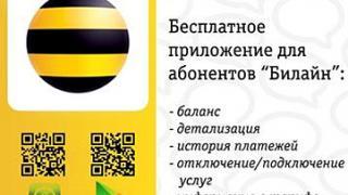 «Мой Билайн» - популярный способ обслуживания абонентов на Юге и Кавказе