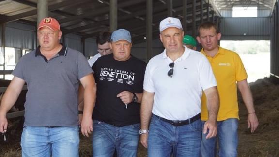В Грачёвском округе Ставрополья три местных жителя создали мясную ферму
