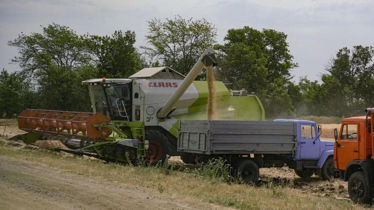 Губернатор Ставрополья: Аграрии края собрали 5 миллионов тонн зерновых