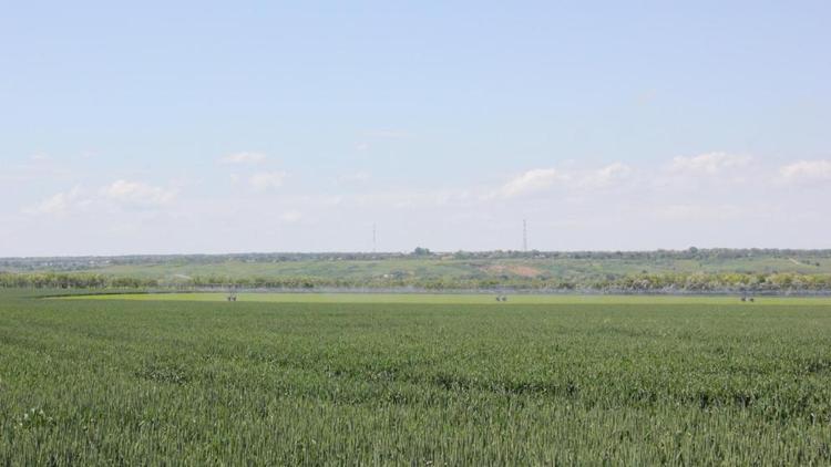 Ставропольским аграриям одобрено 100 заявок на реализацию инвестпроектов
