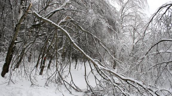 Мокрый снег и сильный ветер ожидаются в Ставропольском крае