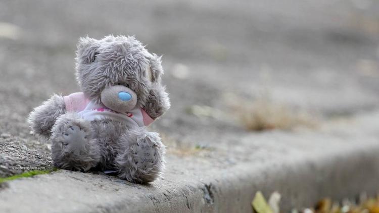 Дети Кисловодска дарят любимые игрушки ребятам из Донбасса